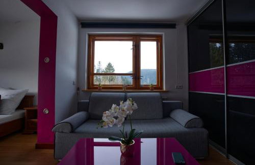 Krynica Zdrój - Dom nad wodą - Foto 22