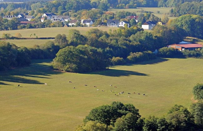 Bungalow Near Eifel Ski Lift - Foto 43
