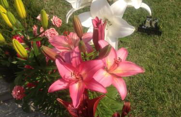 Residenza Sant'Anna - Foto 9