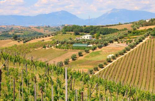 Terra di Ea - Foto 71