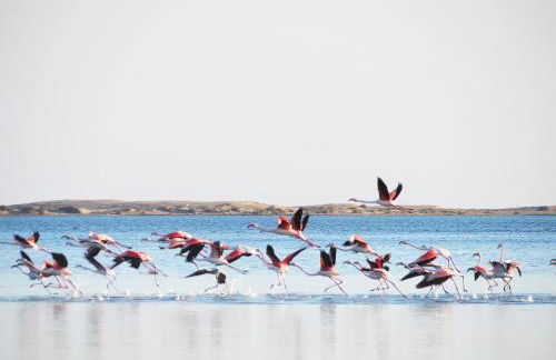 La caseta del canal - Foto 40