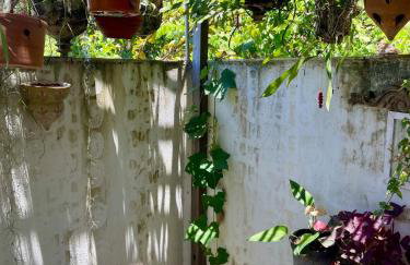 Olinda Magic Studio - Foto 3