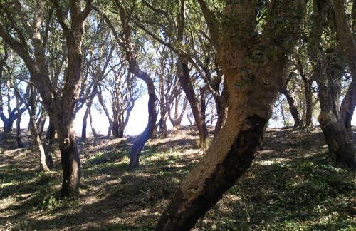 Azienda Agrituristica Le Terre Di San Leonardo - Foto 38