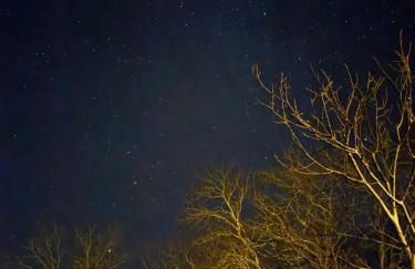 La Ferme de Belbouys - Foto 52