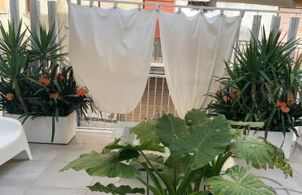 Casa Sauro - Foto 14