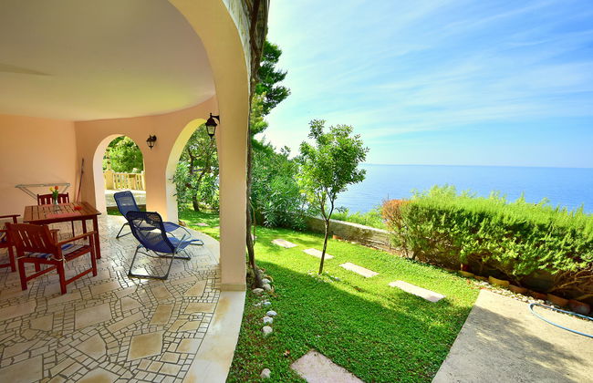 Plavac Mali - Photo 3