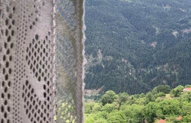 ΤΟ ΑΡΧΟΝΤΙΚΟ - Photo 32