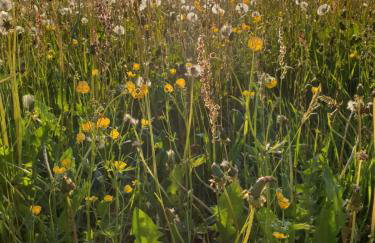 Ferienwohnung Rupp Bergblick & private Sauna - Photo 11