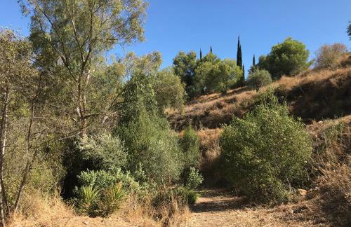 Studio Views Apartment, Cortijo Fruitful Hills - Photo 48