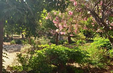 Alegria house with gardens near portoheli - Foto 65