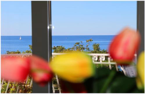 Apartment Katarina and house Marieta - Photo 45