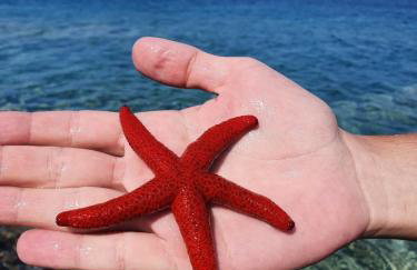 Sea Satin Sounio - Foto 45