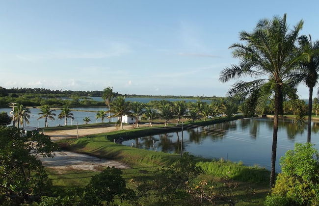 Hotel Fazenda Recanto - Foto 78