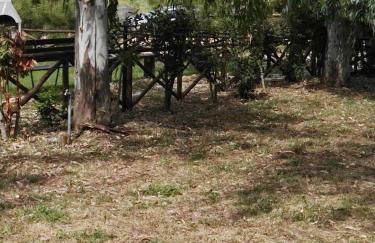 Agriturismo La Petrosa - Foto 100