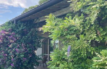 La BouganVillea - Foto 75