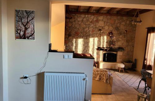 Τα πέτρινα στο Σκεπαστό - Photo 12