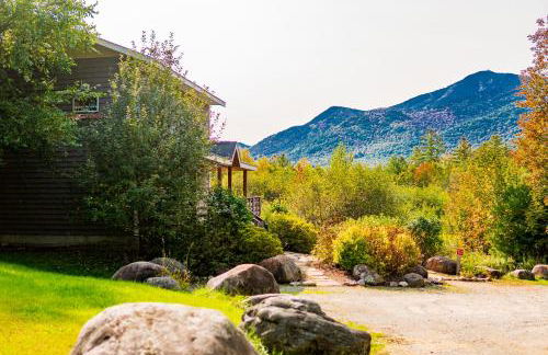 Lookout Mountain Chalet - Foto 57