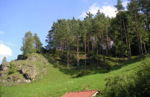 Natur-Aktiv-Hof Thiem - Foto 16