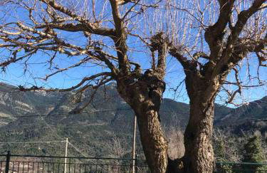 Δάφνη 1933, Λιθόχτιστο Αρχοντικό στο Βουνό - Foto 9