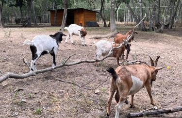 Gites de la Massane - Foto 28