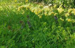 Chez Grand Maman - Foto 28