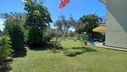 Casetta di Dany - Foto 1, Garden