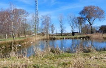 Der Märchenhof Dithmarschen - Photo 30