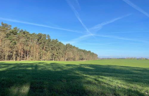 Erholungshaus "Kolibri" direkt in WandlitzWald See, Haustiere - Photo 18