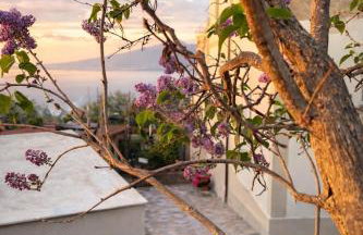 L'antica Pigna Chateau - Foto 6