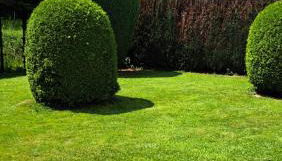 EL MIRADOR - Ferienwohnung Nähe Nürburgring - Eifel - Ahr - Rhein - RENOVIERT - Foto 3, Garden, Garden view