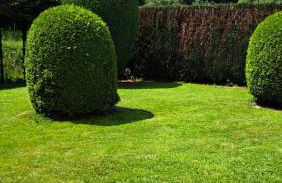 EL MIRADOR - Ferienwohnung Nähe Nürburgring - Eifel - Ahr - Rhein - RENOVIERT - Foto 3