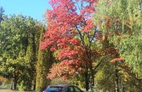 Luksusowy Apartament Nad Zalewem - Foto 18