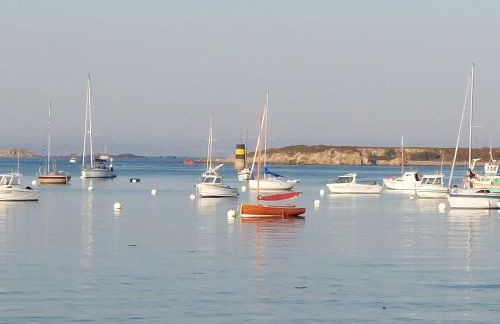 Île Grande, Location maison saisonnière chez Dom et Cathy C - Foto 13