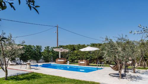 The Orange Garden - Foto 5