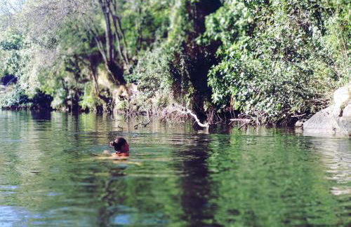 Verde Água Agroturismo e Agricultura Biológica - Foto 27