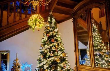 HiPyrenees - Top studio - Foto 15