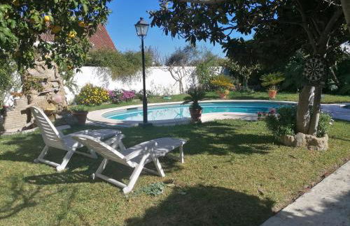 Sevilla a tus pies - Foto 13