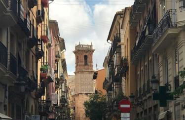 City center where Falla starts - Photo 21