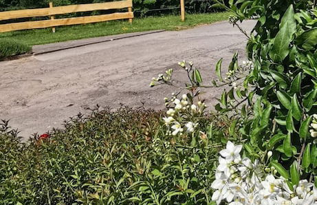 Cozy Apartment Near the Forest in Mark - Foto 19