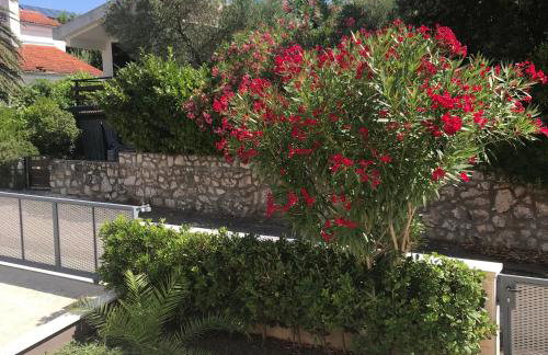 Apartmani Artatore - Foto 7