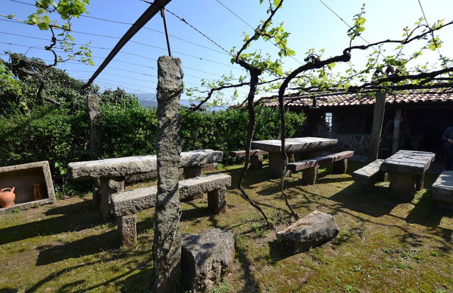 Quinta da Aldeia - Foto 49