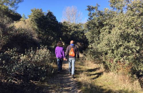 La Casona de Requijada a 6km de Pedraza con Piscina - Foto 41