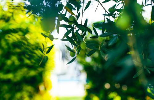 Residence Nonna Mariuccia - Foto 22