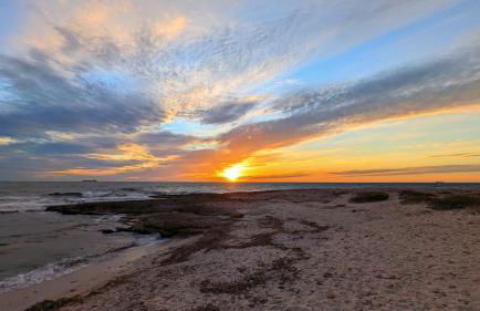 2 Pièces 45m2, Calme, Confort, Mer à 200m, Jardin, Terrasse, Piscine - Foto 44