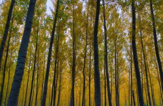 El Paraíso Del Rey - Foto 59