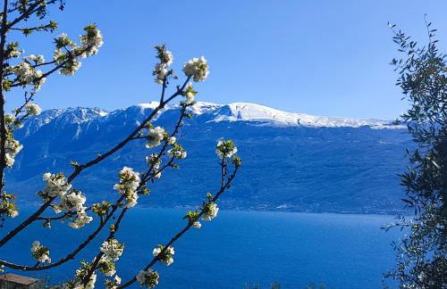 Agriturismo L'Uliveto - Foto 18