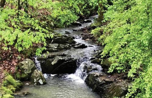 Secluded Home with Mini Waterfall and a Creek in Hot Springs - Foto 42