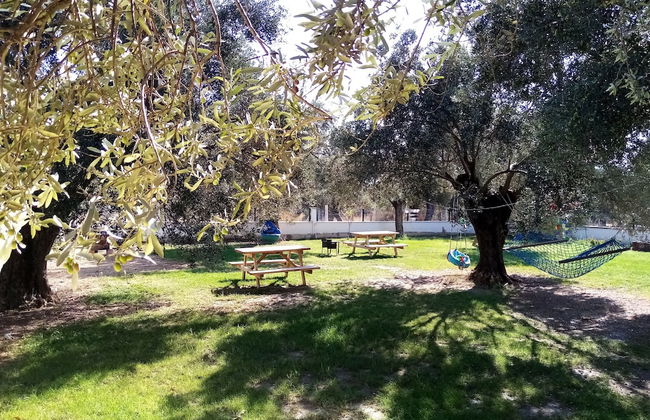 Yazduf Family Homes - Foto 22