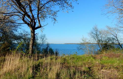 Apartments Sonne am Sund - Photo 75