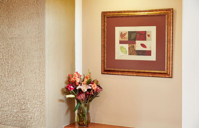 First Group Midlands Saddle and Trout - Photo 4